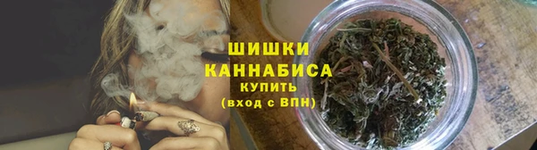 PSILOCYBIN Верея